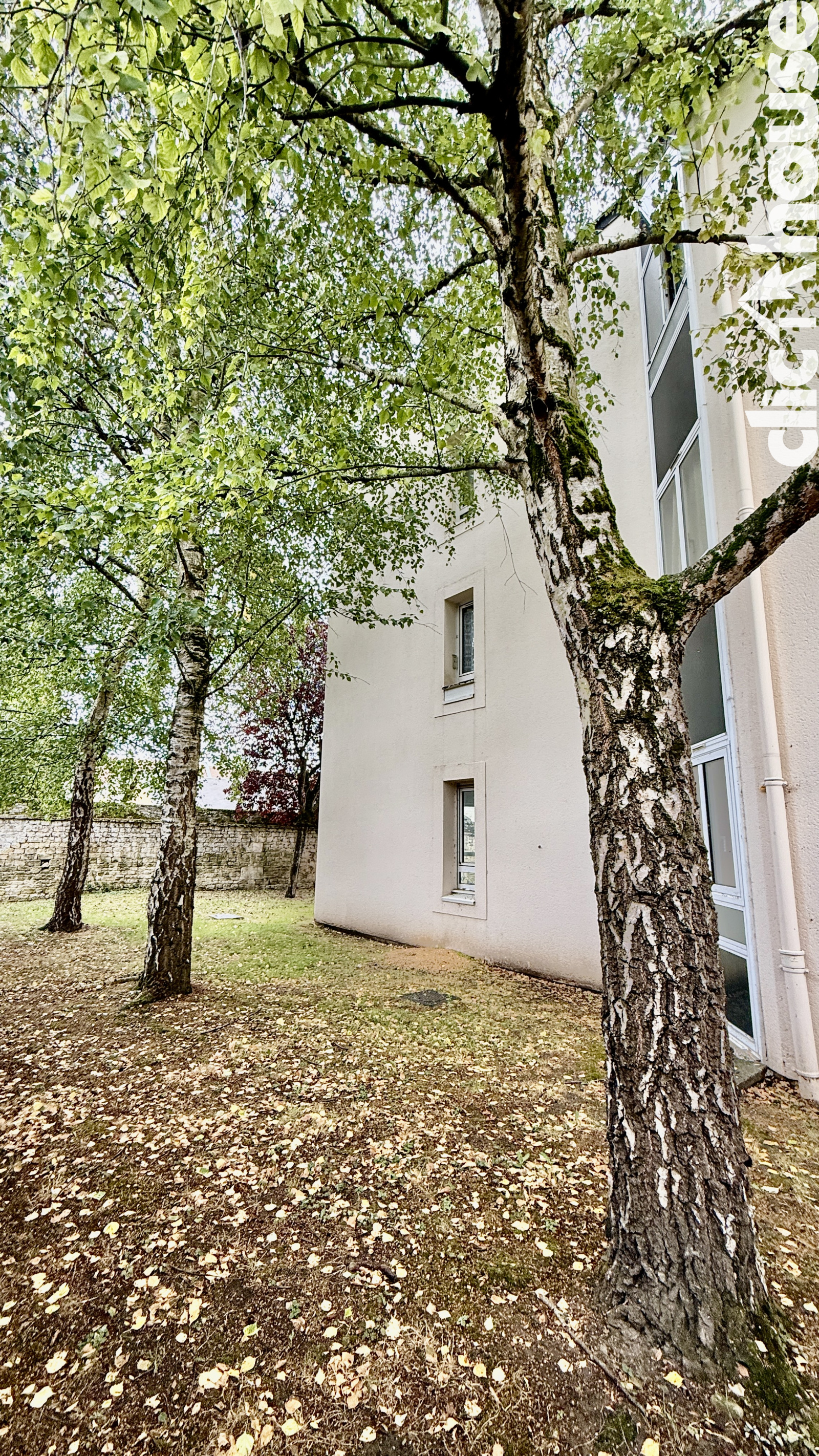 Image_, Appartement, Caen, ref :6646